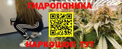 гидропоника Славгород