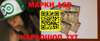 гидропоника Славгород