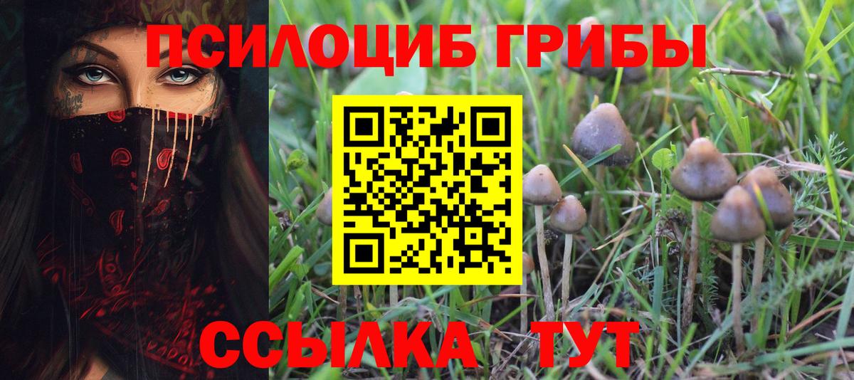 Топки  Псилоцибиновые грибы ЛСД  Вход с VPN 